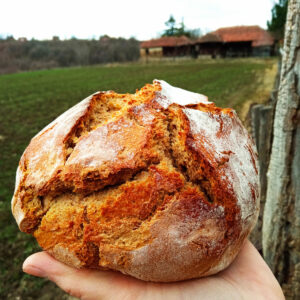 Таин (раж и пшенично)